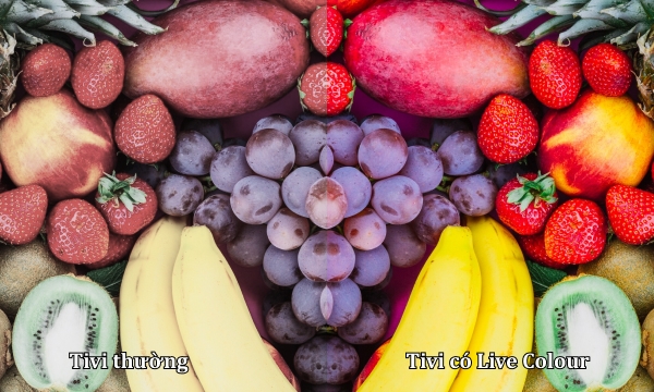 Google Tivi Sony HD 32 inch KD-32W830K