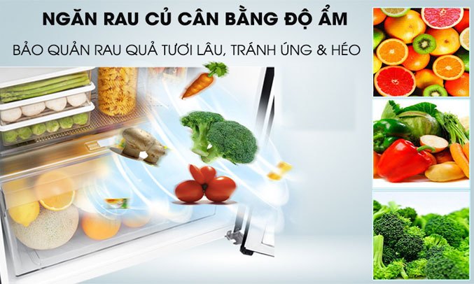 Tủ Lạnh LG Inverter 187 lít GN-L205S thực phẩm luôn tươi ngon