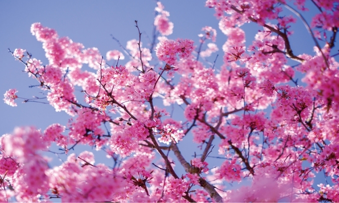 Máy ảnh Fujifilm Kit 15-45mm X-T100/XC15-45 Gold