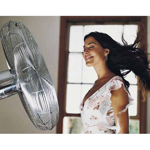 cac-loai-quat-dien-duoc-su-dung-pho-bien-tren-thi-truong5