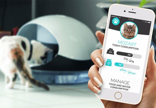 thiet-bi-nuoi-thu-cung