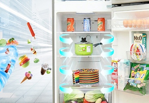 top-4-tu-lanh-tra-gop-hap-dan-dau-thang-1