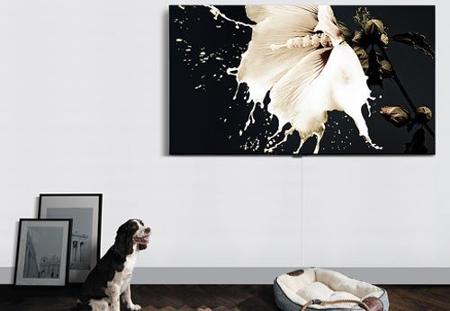 Dòng tivi QLED của Samsung chính thức trình làng Việt Nam