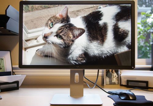 Chọn mua màn hình vi tính