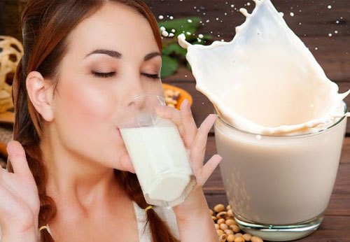 Mua máy làm sữa đậu nành cho gia đình