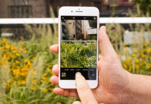 Đánh giá camera iPhone 8 Plus