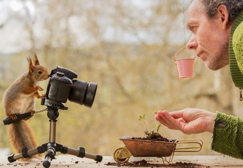 Mẹo tiết kiệm pin cho máy ảnh