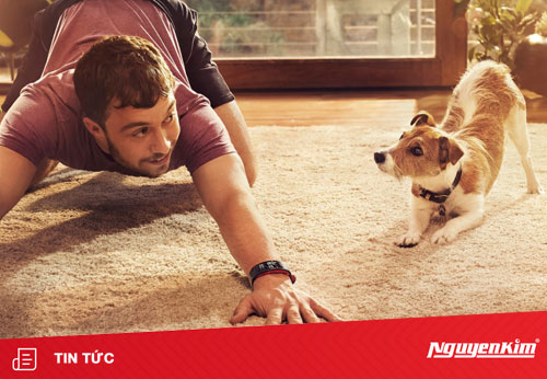 Samsung chuẩn bị trình làng vòng đeo tay thông minh Gear Fit2 Pro vào đầu năm sau