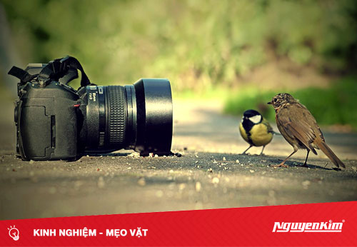 Chọn ống kính phù hợp cho máy ảnh