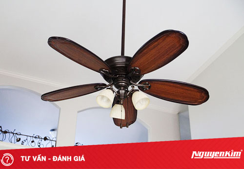 Tại sao nên dùng quạt trần