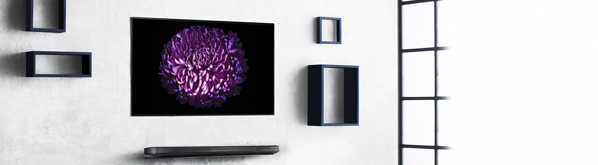 10033565-TIVI-OLED-LG-77-INCH-W7T-03-P