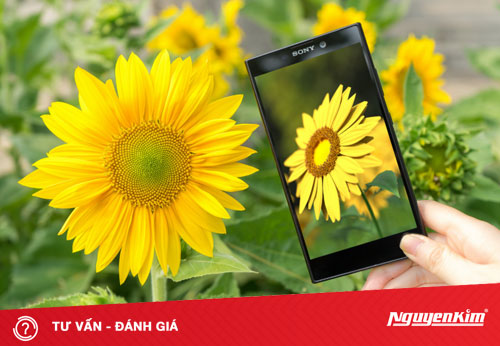 Sony Xperia L2: phiên bản nâng cấp với sự ổn định hơn về hiệu năng