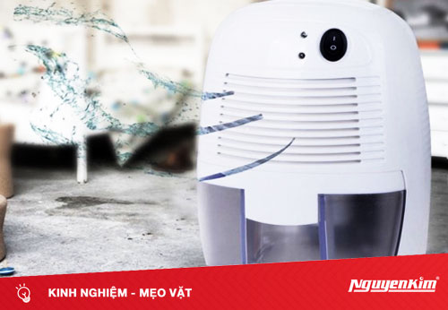 Những điều cần biết để sử dụng máy hút ẩm hiệu quả