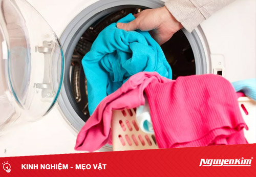 Tác hại khi mặc quần áo bị ẩm mốc