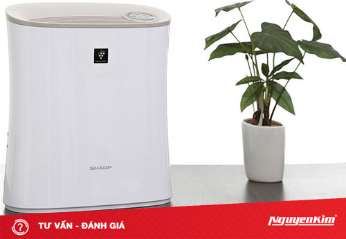 Vì sao nên mua máy lọc không khí Sharp?