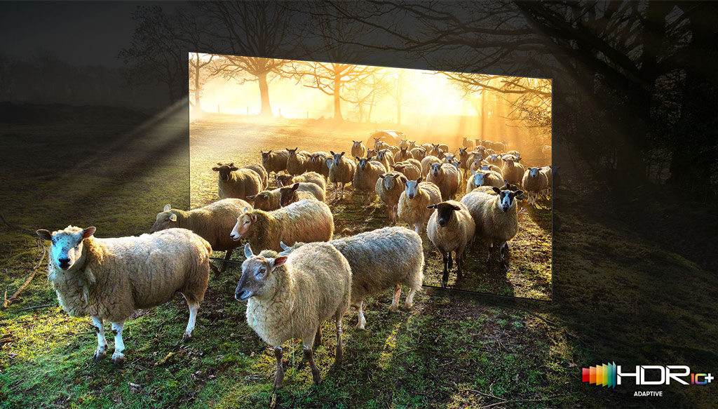 Smart Tivi Neo QLED Samsung 8K 65 inch QA65QN900AKXXV tổng quan