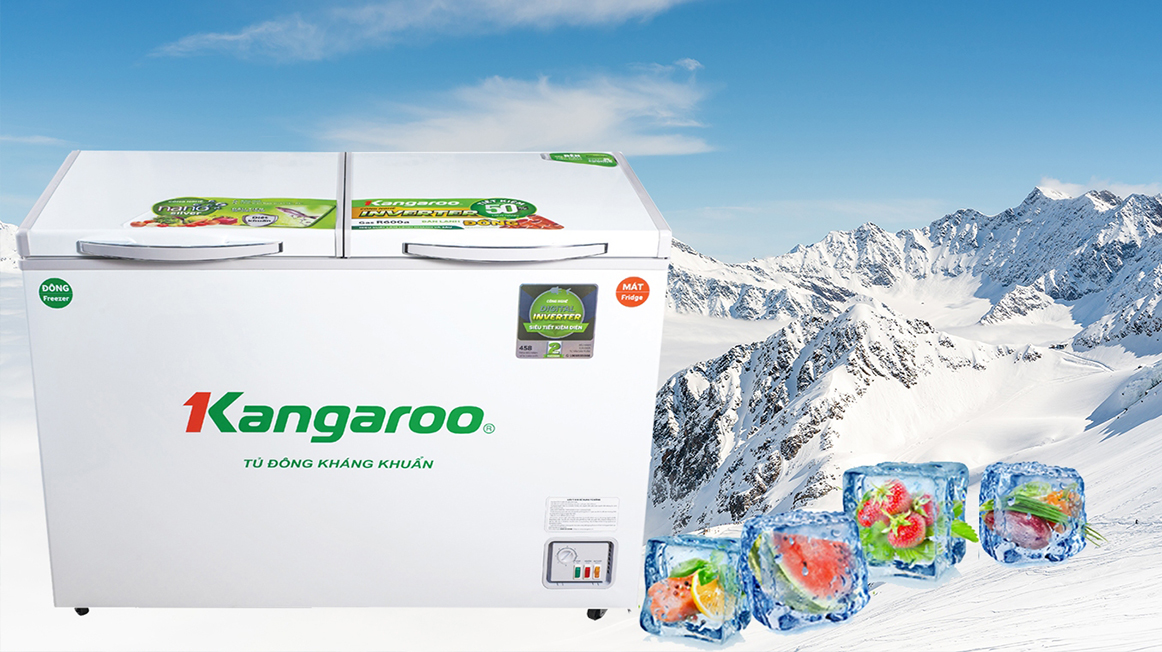 Tủ Đông Bị Nóng Do Đâu? Nên Giải Quyết Tình Trạng Này Bằng Cách Nào?