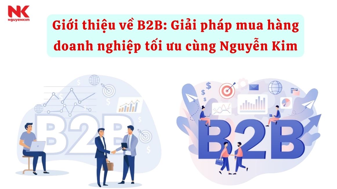 Giới thiệu về B2B: Giải pháp mua hàng doanh nghiệp tối ưu cùng Nguyễn Kim