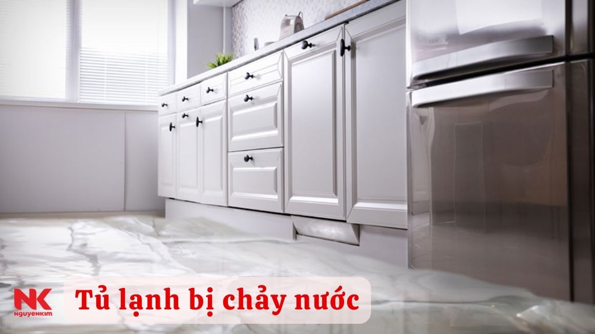 tu-lanh-bi-chay-nuoc