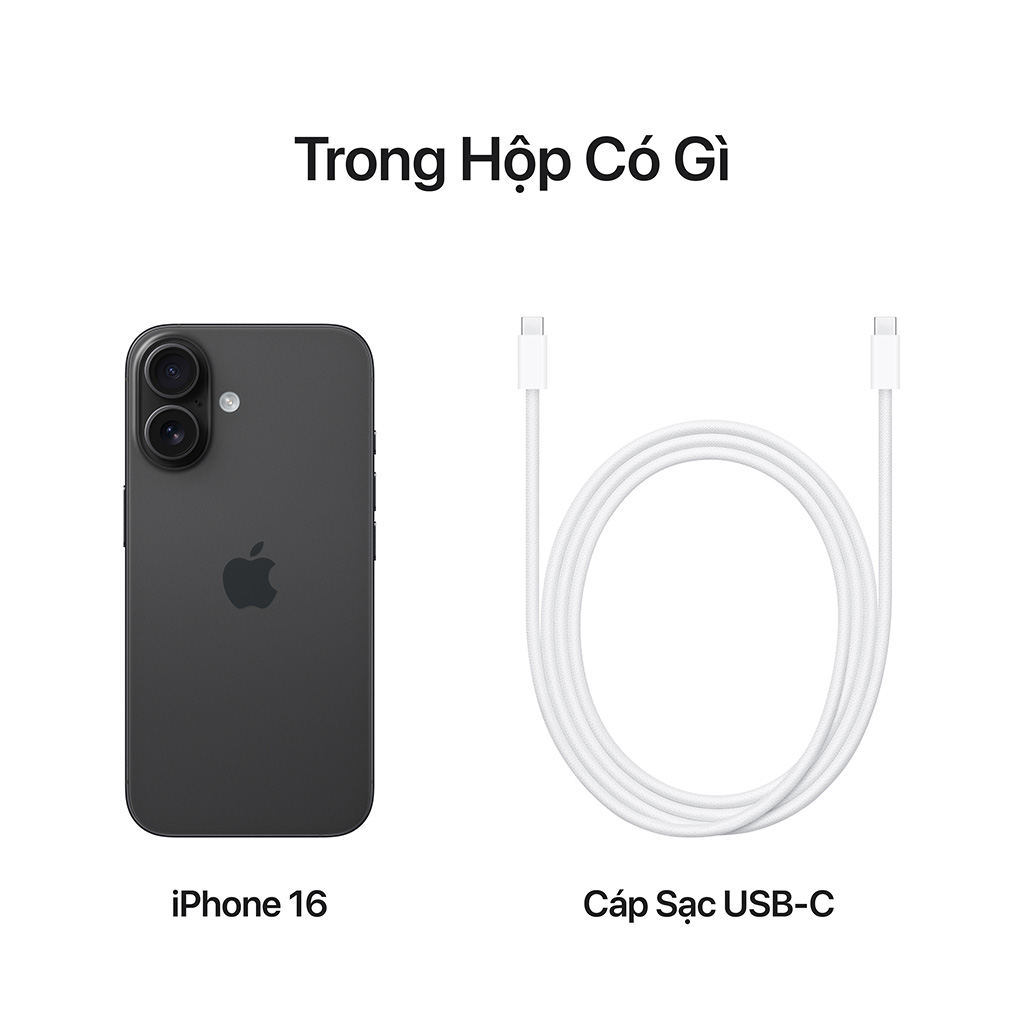 V-IPHONE-16-DEN