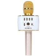 Micro karaoke Icore IC-M9