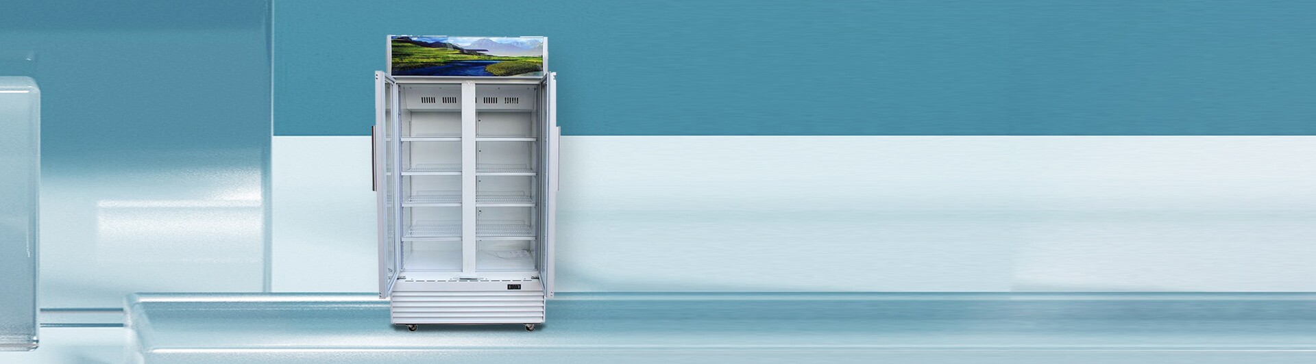 Tủ mát Sanaky 900 lít VH-1009HP