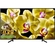 android-tivi-sony-4k-43-inch-kd-43x8000g-1