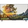 Android Tivi QLED TCL 4K 55 inch 55C725 mặt chính diện
