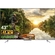 Android Tivi TCL 4K 43 inch 43P725 mặt chính diện
