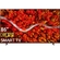 Smart Tivi LG 4K 86 inch 86UP8000PTB mặt chính diện
