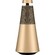 Loa B&O Beosound 2 Gold Tone GVA chính diện