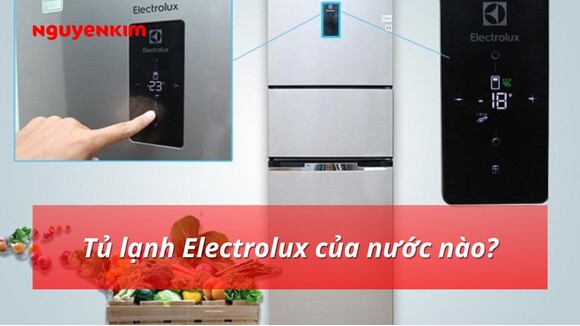 Tủ lạnh Electrolux của nước nào