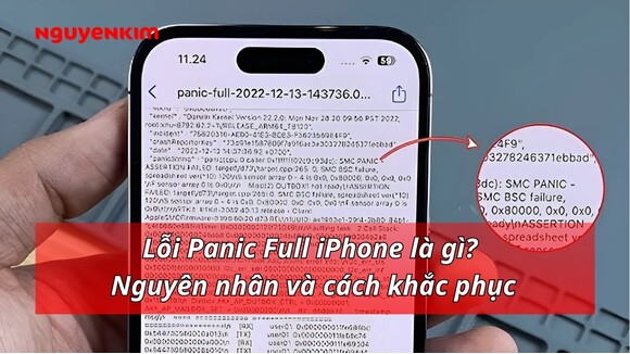 Lỗi panic full iphone là gì