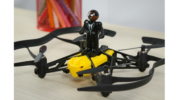 maybaydieukhientuxaParrot_(4)