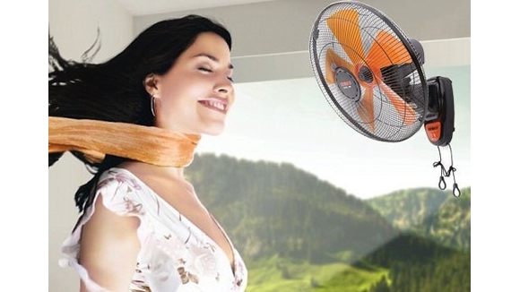 Quạt treo tường giá rẻ