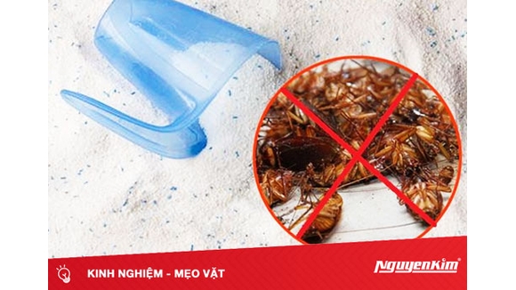 Diệt gián bằng bột giặt