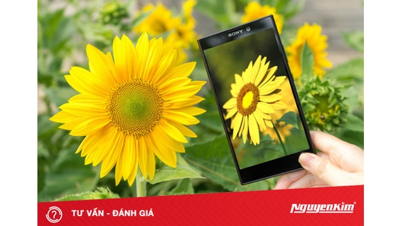 Sony Xperia L2: phiên bản nâng cấp với sự ổn định hơn về hiệu năng