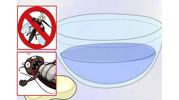 Những bí kíp đẩy lùi bọn muỗi đang quẩn quanh nhà bạn