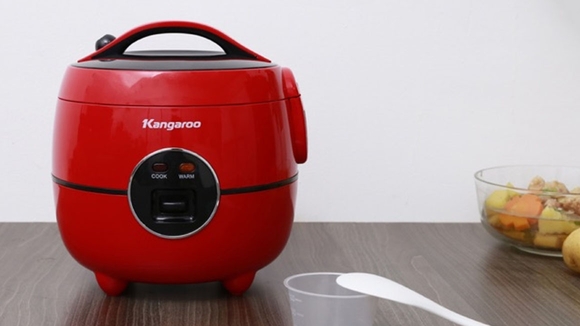 cac-loai-chat-lieu-long-noi-cua-noi-com-dien-6