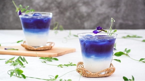 Cách làm trà sữa hoa đậu biếc hấp dẫn