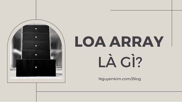 Loa Array Là Gì?