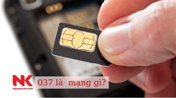 037 Là Mạng Gì? Những Tiết Lộ Về Ý Nghĩa Của Đầu Số 037 Nên Biết