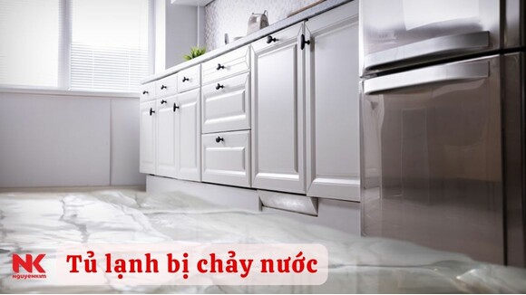 tu-lanh-bi-chay-nuoc