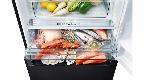 Tủ lạnh Panasonic Inverter 417 lít NR-BX471GPKV