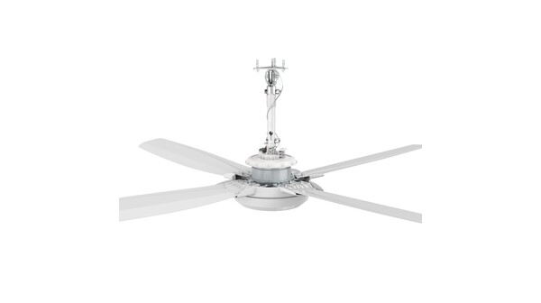 Quạt trần KDK G56DG(WH)