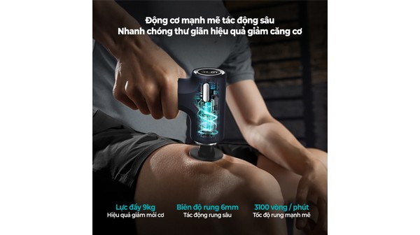 Máy massage cầm tay Philips PPM7319