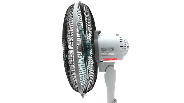 quat-dung-asia-a16017x-06