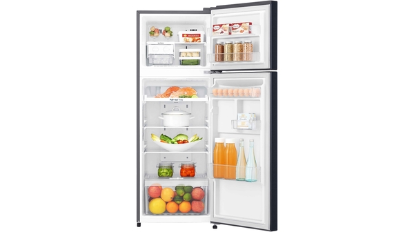 10033245-TỦ-LẠNH-LG-208-LÍT-GN-L208PN-09