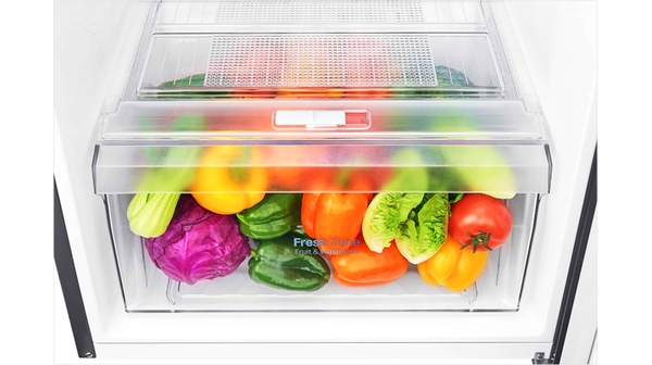 10033246-TỦ-LẠNH-LG-208-LÍT-GN-L208PS-11