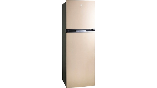 Tủ lạnh Electrolux ETB3200GG giá hấp dẫn tại Nguyễn Kim